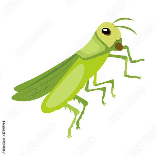 mantis, mantodea, stagmomantis, insect, creature, specie, predator, invertebrate, bug, flat, vector, icon, 

