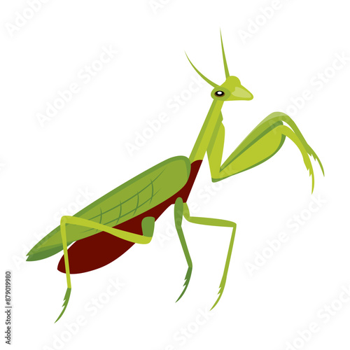 A flat style icon deciding cute stick bug  

