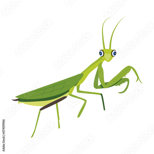 A flat style icon of tropical mantis 

