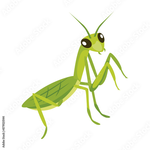 A flat style icon of tropical mantis 

