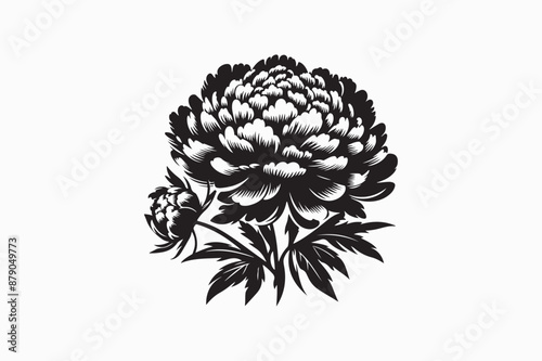 A peony Flower vector silhouette image adobe illustrator.