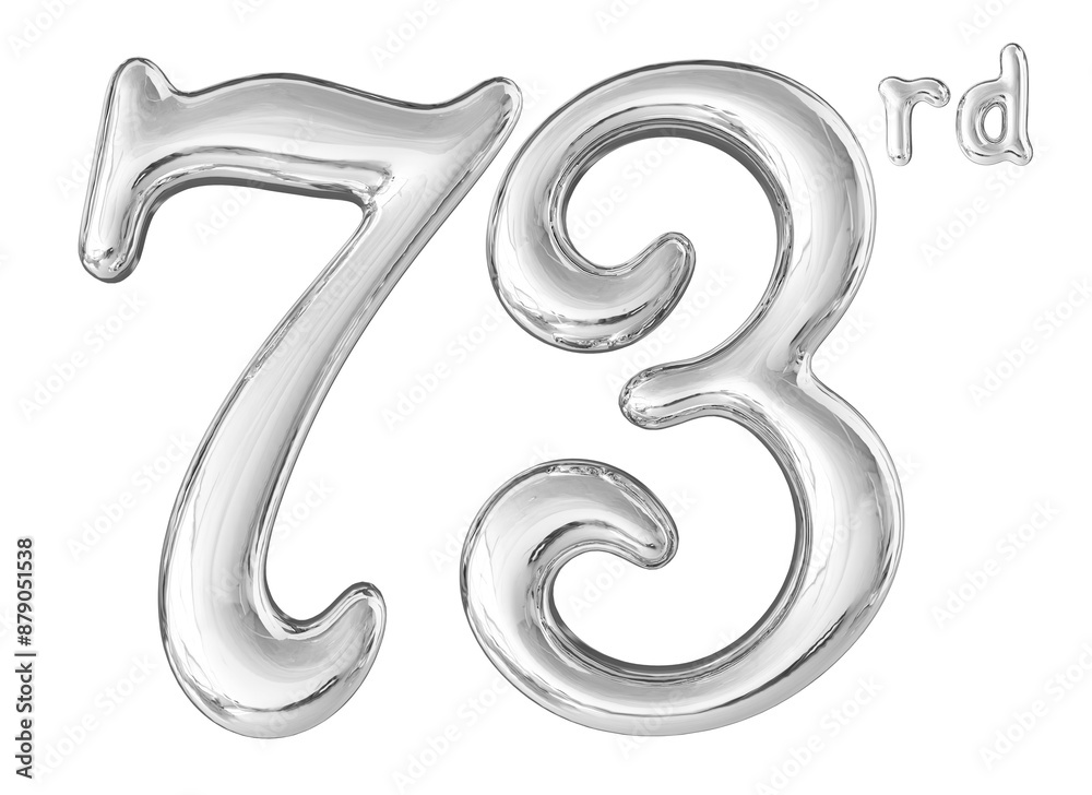 73rd Anniversary Silver Number 3D 73rd Anniversary Silver Number 3D