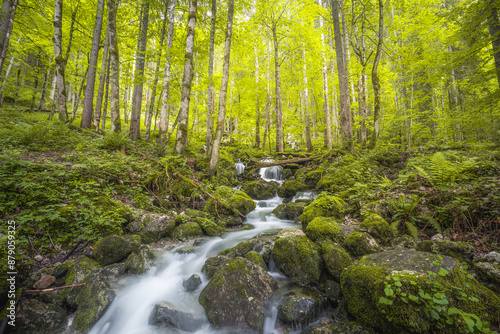 Rothbach Waterfall near Konigssee lake in Berchtesgaden National Park, Germany