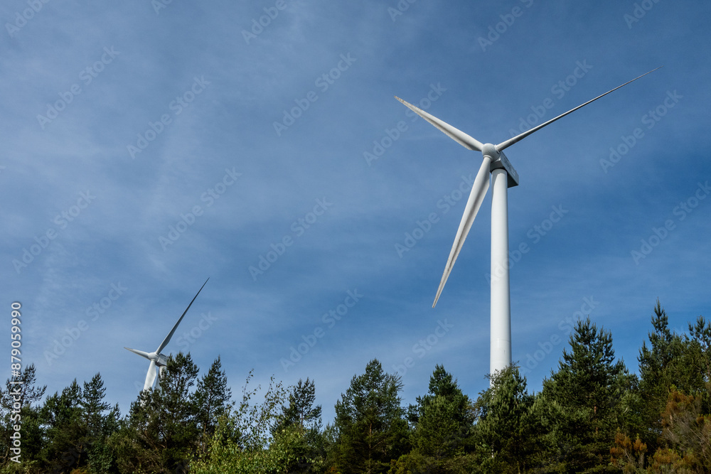 Wind turbines stand tall against a bright blue sky with white clouds, surrounded by a forest of green coniferous trees. Wind turbines stand tall against a bright blue sky with white clouds, surrounded by a forest of green coniferous trees.