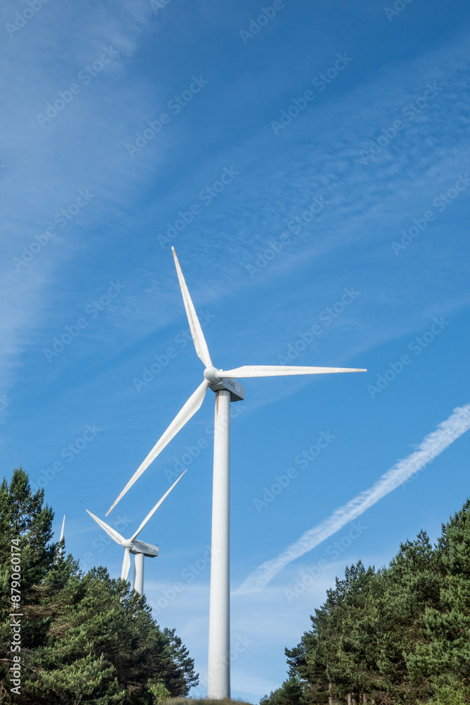 Wind turbines stand tall against a bright blue sky with white clouds, surrounded by a forest of green coniferous trees. Wind turbines stand tall against a bright blue sky with white clouds, surrounded by a forest of green coniferous trees.