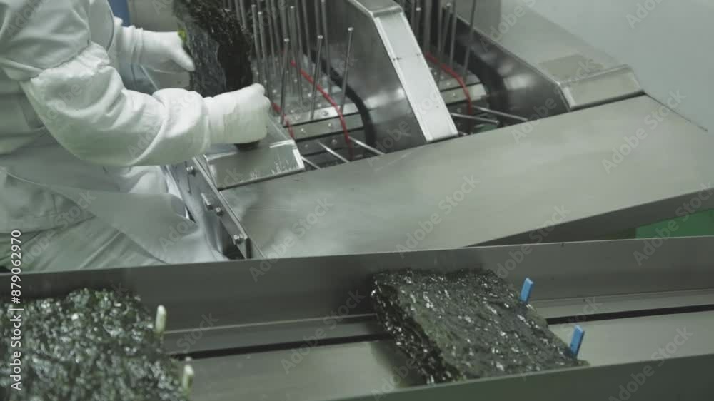 Food manufacturing process