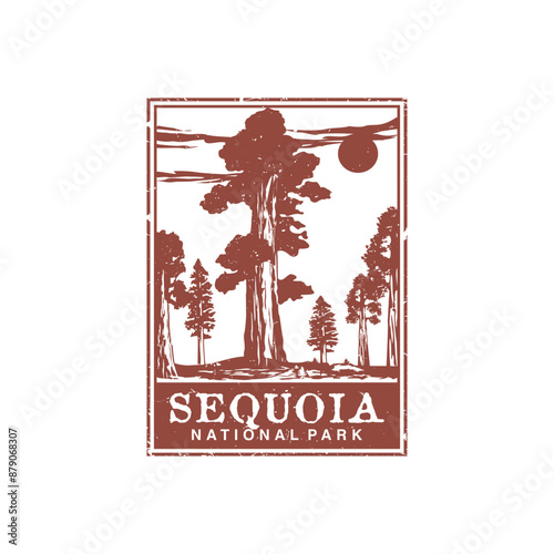 Sequoia tree national park vector illustration in stamp style.