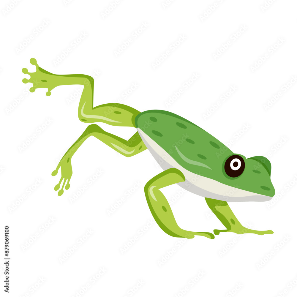 Fototapeta premium frog, toad, amphibian, anuran, creature, specie, vertebrate, cartoon, mascot, flat, vector, icon,