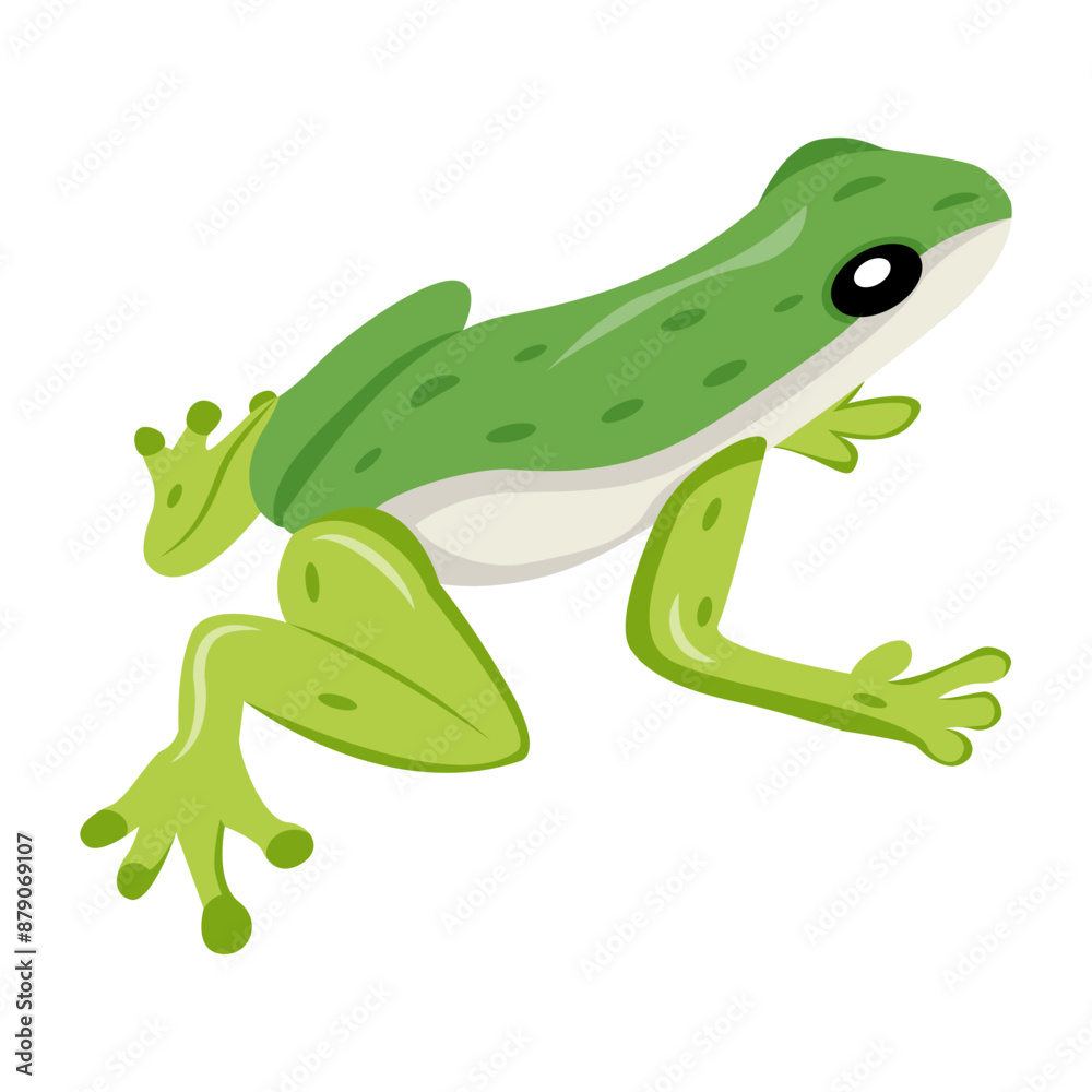 A flat style icon of anuran
A flat style icon of anuran
