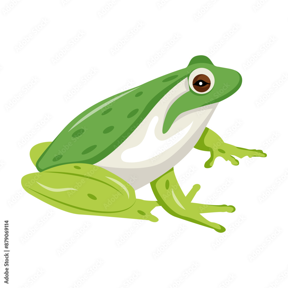 A flat style icon of pond frog
A flat style icon of pond frog
