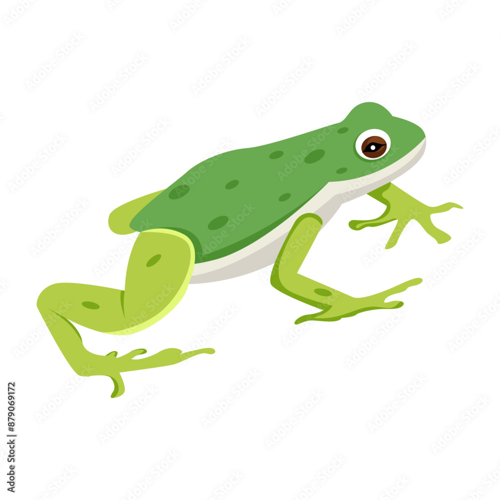 frog, toad, amphibian, anuran, creature, specie, vertebrate, cartoon, mascot, flat, vector, icon,
frog, toad, amphibian, anuran, creature, specie, vertebrate, cartoon, mascot, flat, vector, icon,