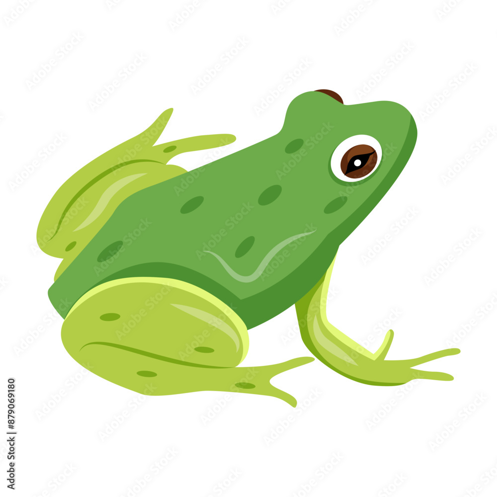 A flat style icon of rana tigrina 

