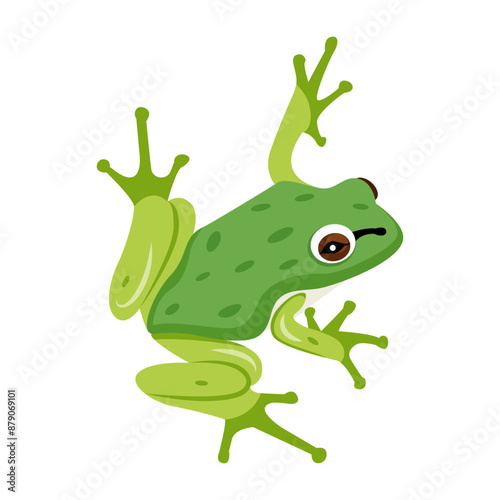 Jungle frog icon in flat style 

