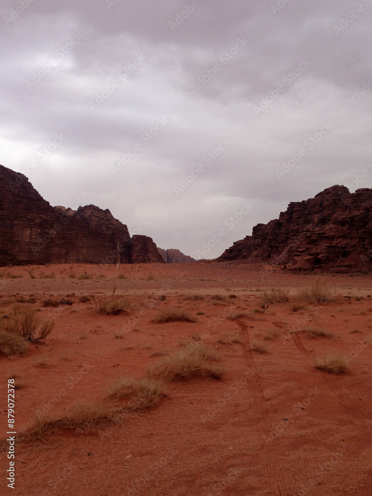 Naklejka premium Wadi Rum Protected Area, Jordan