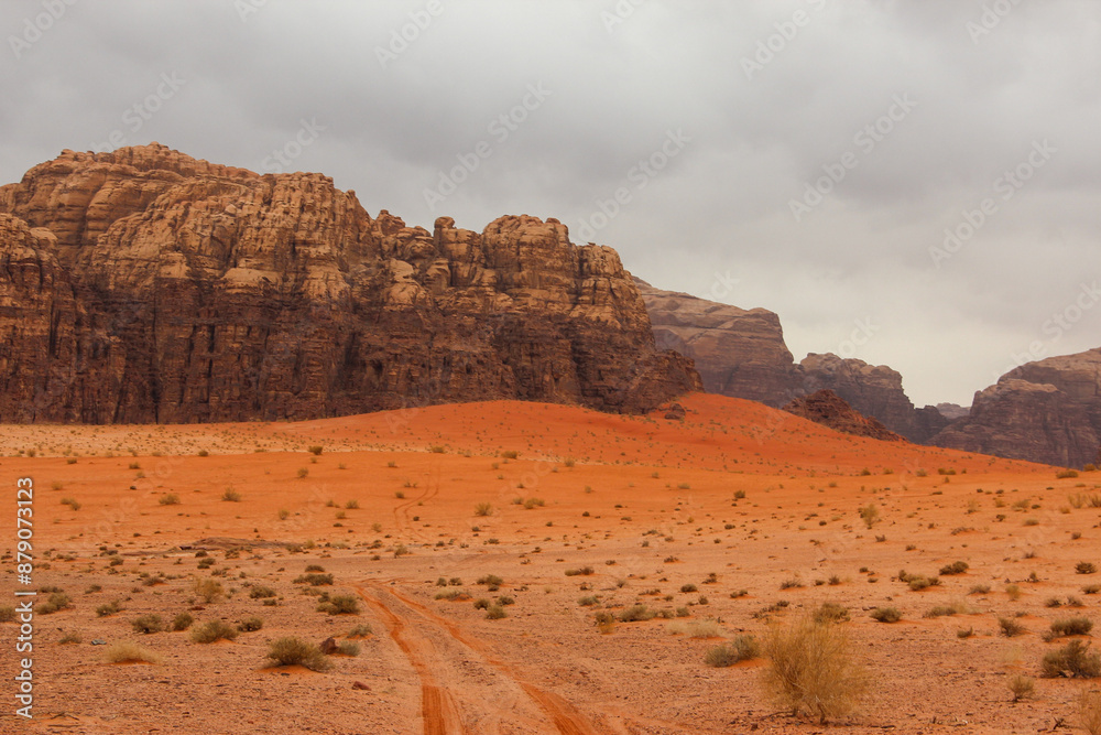 Naklejka premium Wadi Rum Protected Area, Jordan