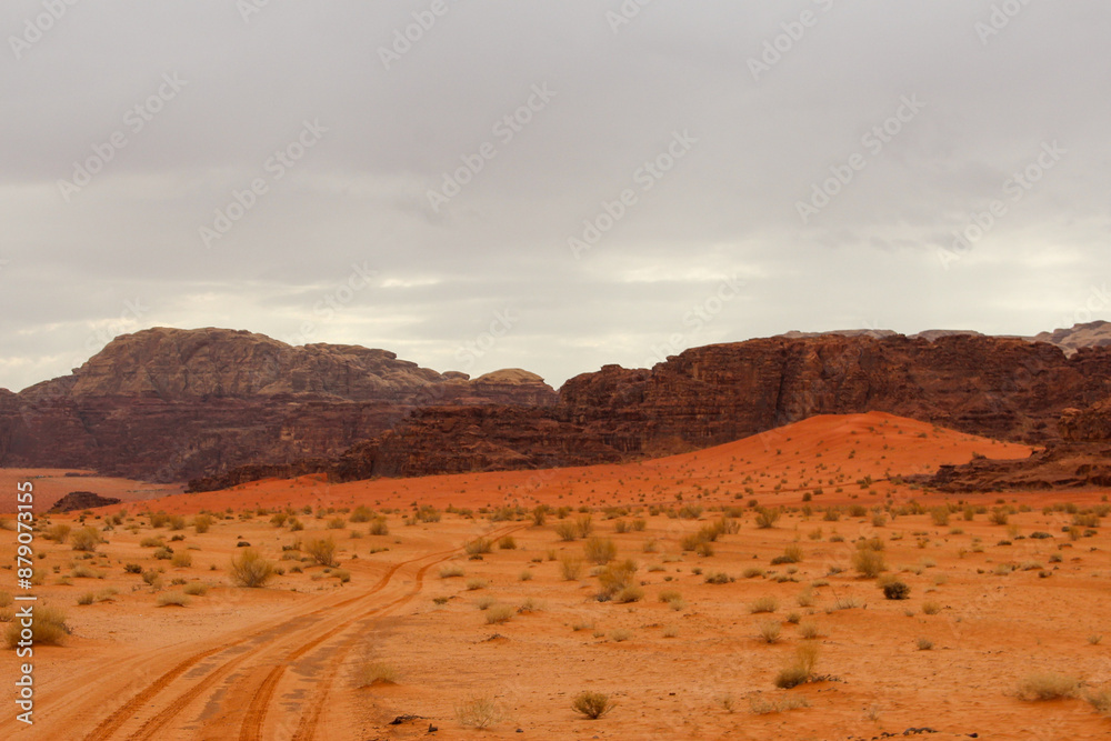 Fototapeta premium Wadi Rum Protected Area, Jordan