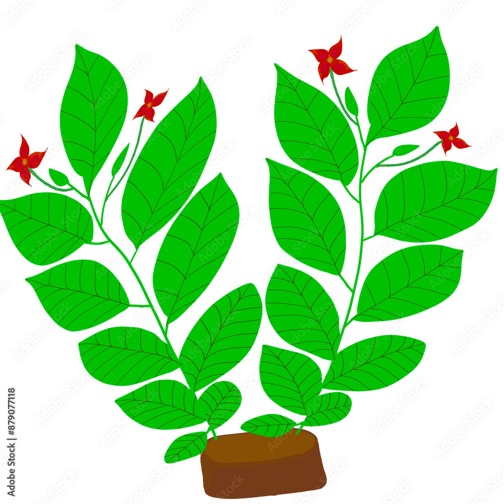 small tree, green small tree small tree, green small tree