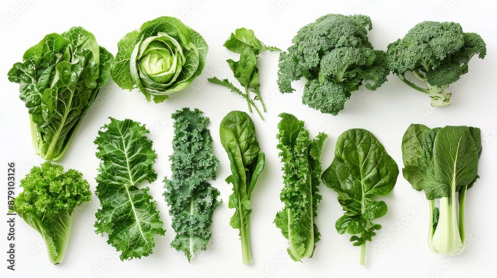 Fresh Green Vegetables Fresh Green Vegetables