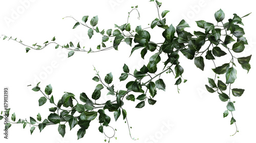 creeper lush green vines border hanging white background,generative ai