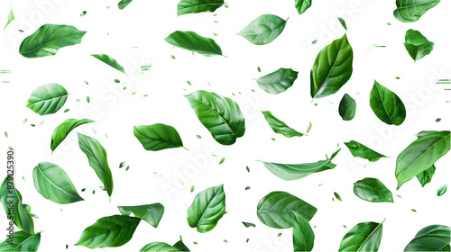 green leaves are falling down on a pure white background,generative ai