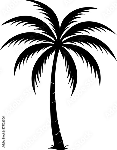silhouette of a tropical palm tree
