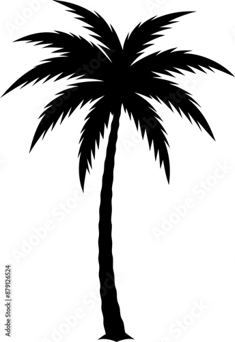 silhouette of a tropical palm tree