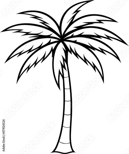 silhouette of a tropical palm tree