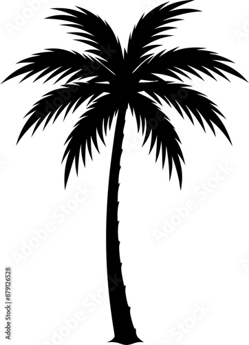 silhouette of a tropical palm tree