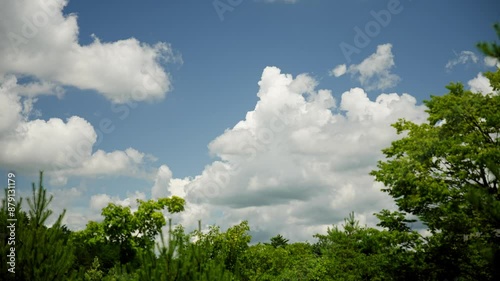 grass and blue sky