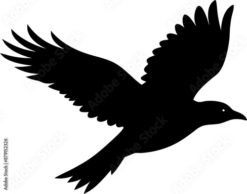 silhouette of a bird in flight