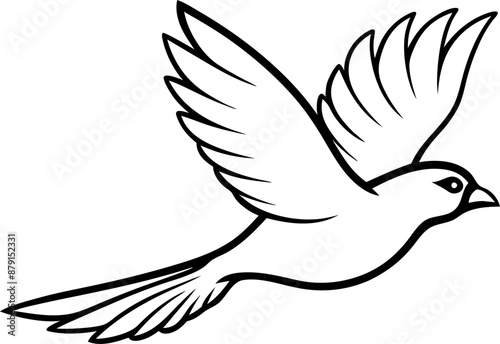 silhouette of a bird in flight