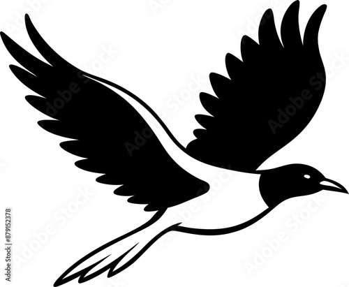 silhouette of a bird in flight