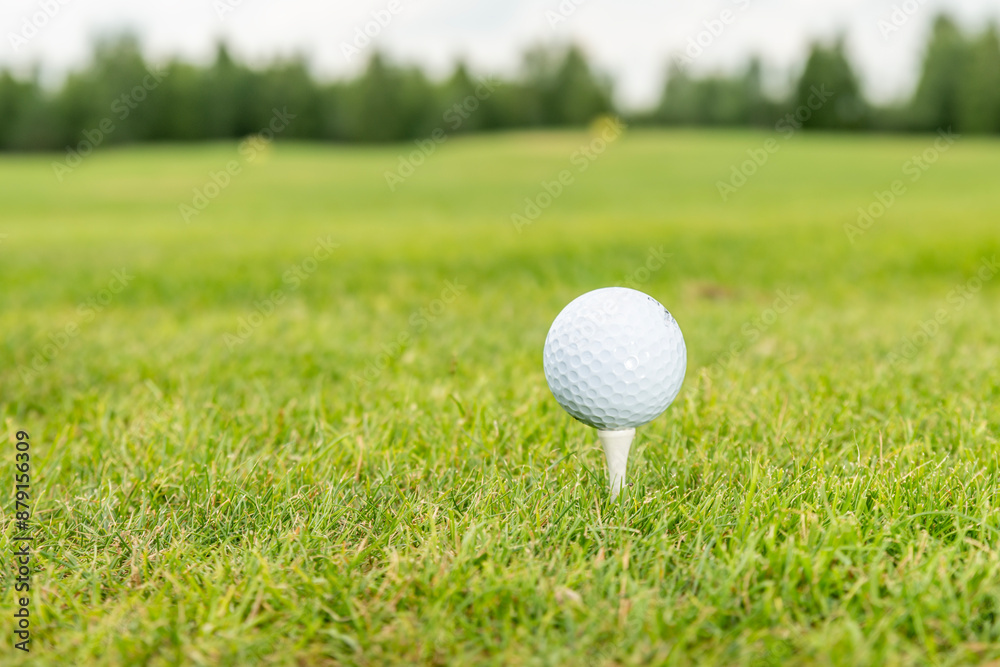 golf ball on green grass text here golf ball on green grass text here