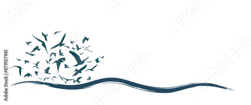 The seascape with a flock of birds.