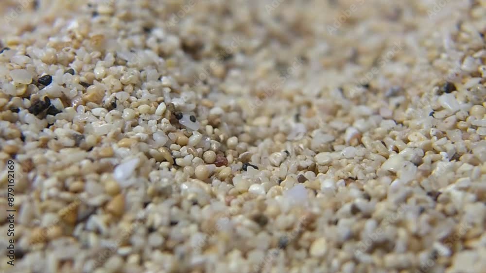 Slow motion reverse video of white sand beach Slow motion reverse video of white sand beach