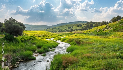 The Verdant Valley of Elah with Rolling Hills and a Gentle Stream