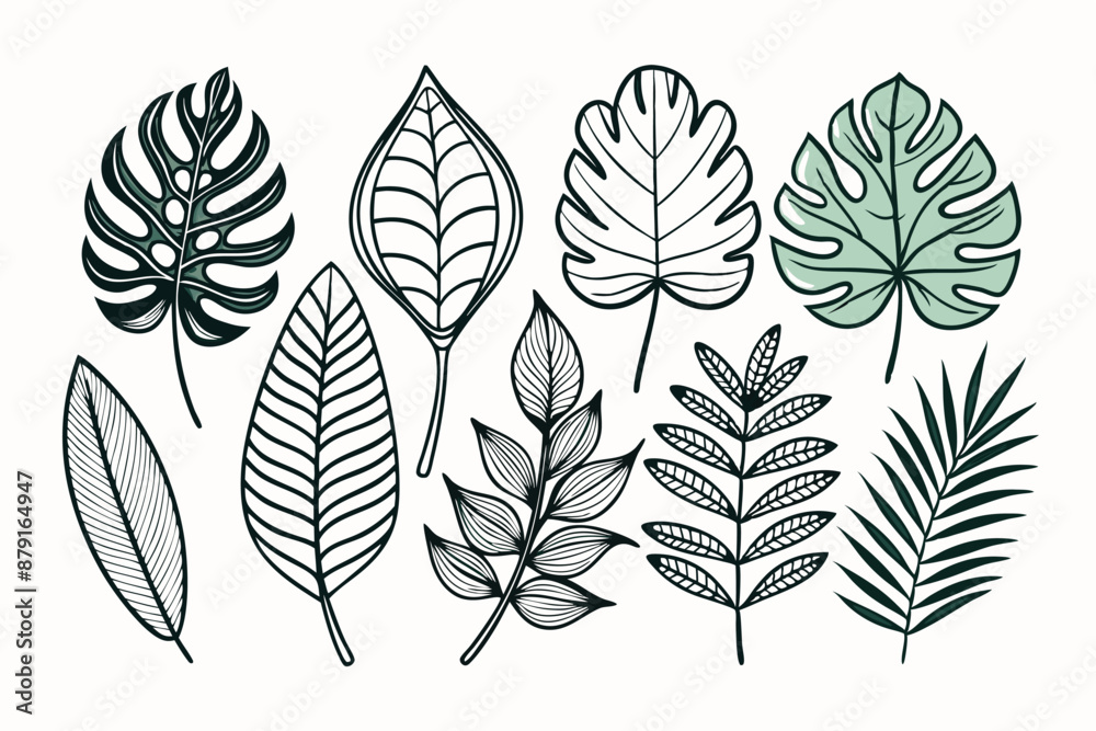 Fototapeta premium set of different tropical leaves vector illustration