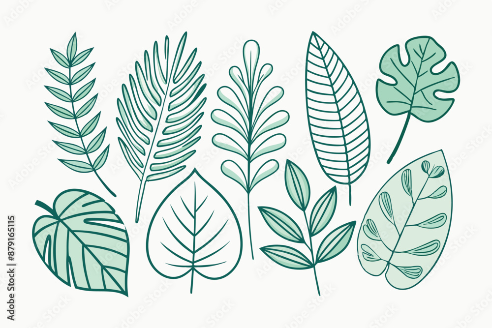 Obraz premium set of different tropical leaves vector illustration