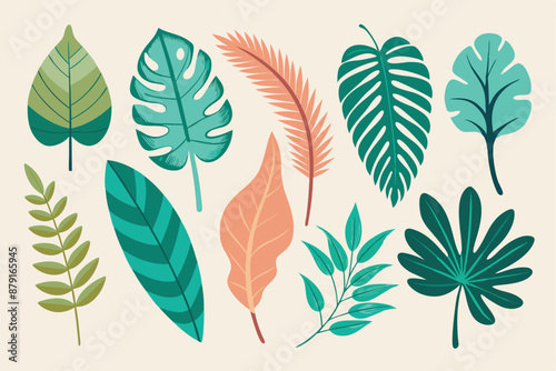 set of different tropical leaves vector illustration