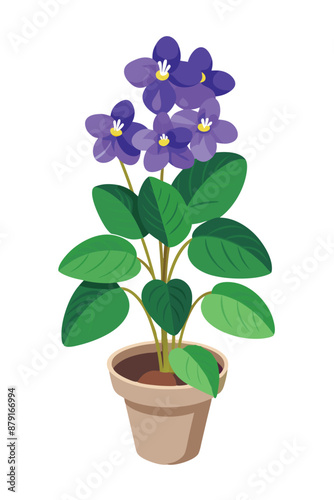 A beautiful african violets plant vector illustration