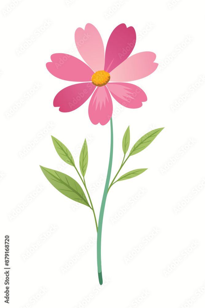 cosmos plant minimal design vector illustration cosmos plant minimal design vector illustration