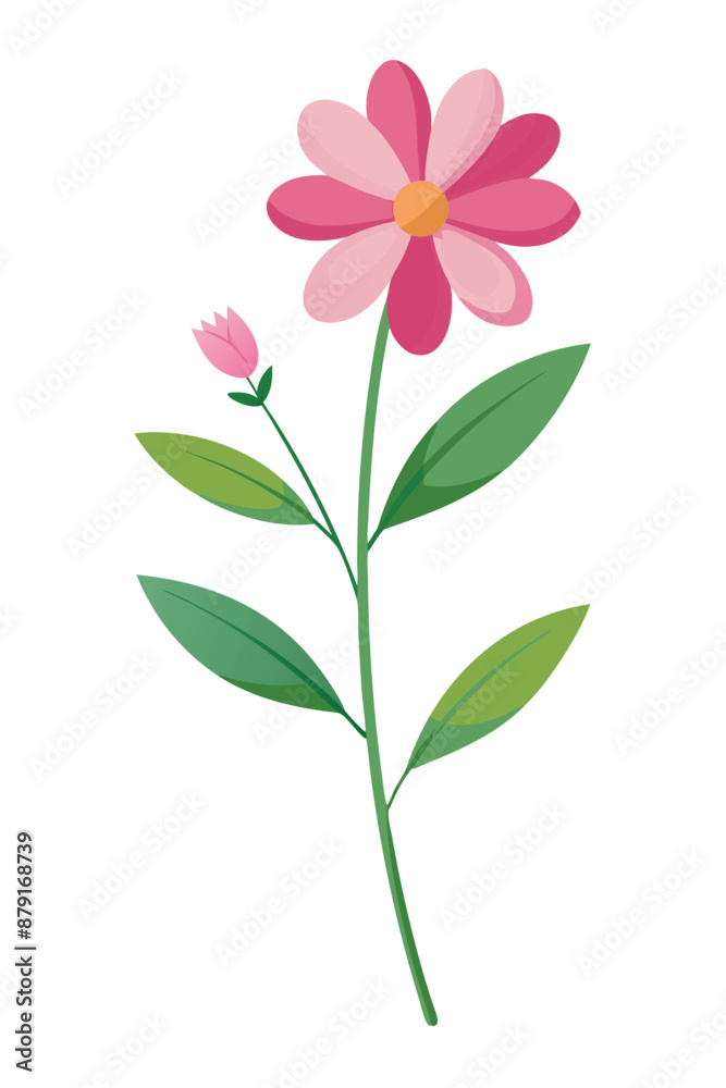 cosmos plant minimal design vector illustration cosmos plant minimal design vector illustration