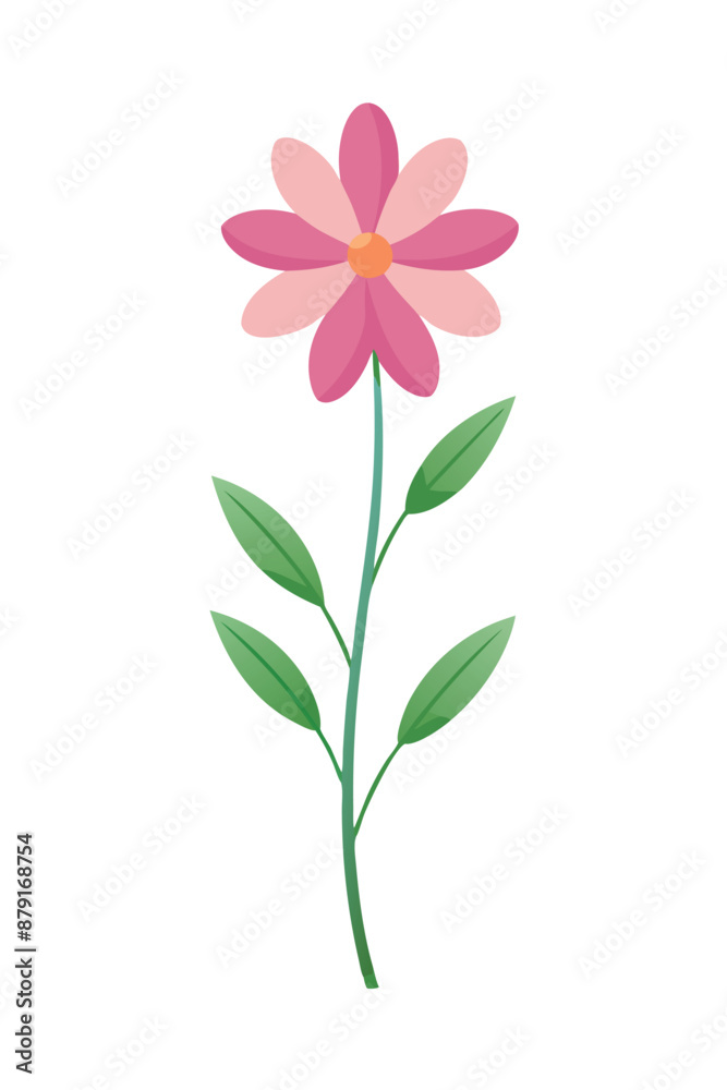 cosmos plant minimal design vector illustration cosmos plant minimal design vector illustration
