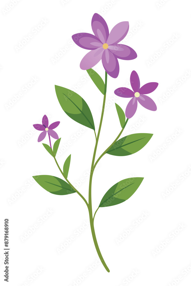 creeping phlox plant minimal design vector illustration
