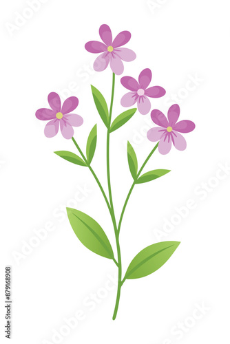 creeping phlox plant minimal design vector illustration