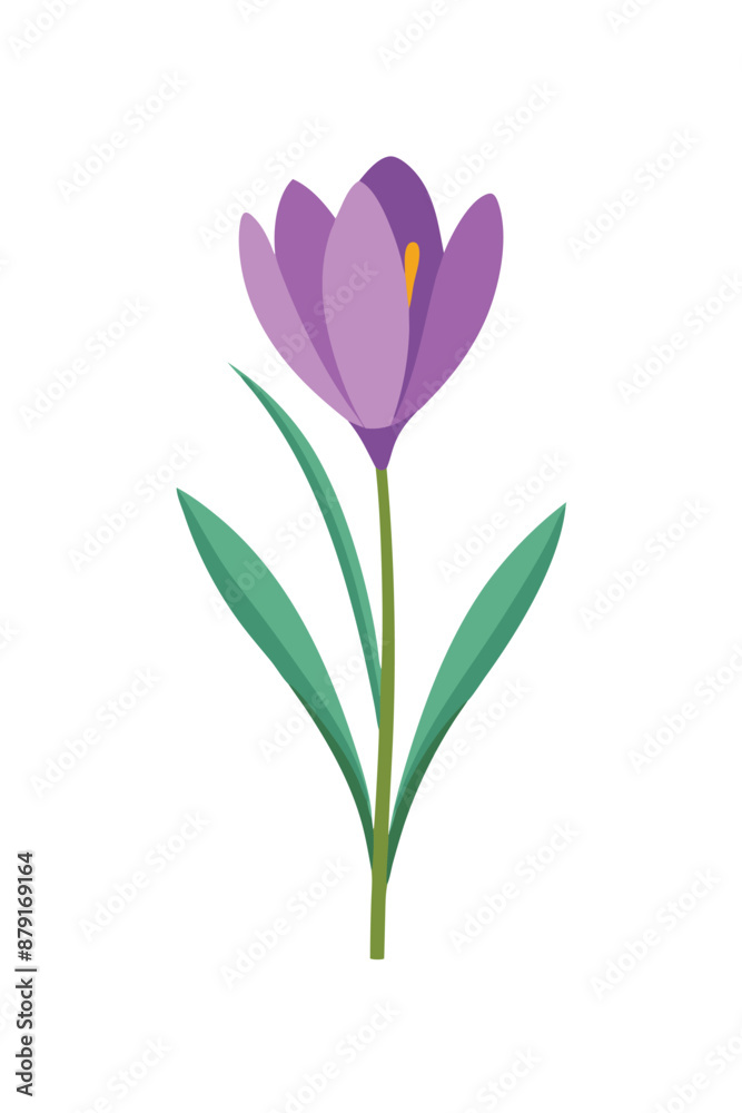Crocus plant minimal design vector illustration Crocus plant minimal design vector illustration