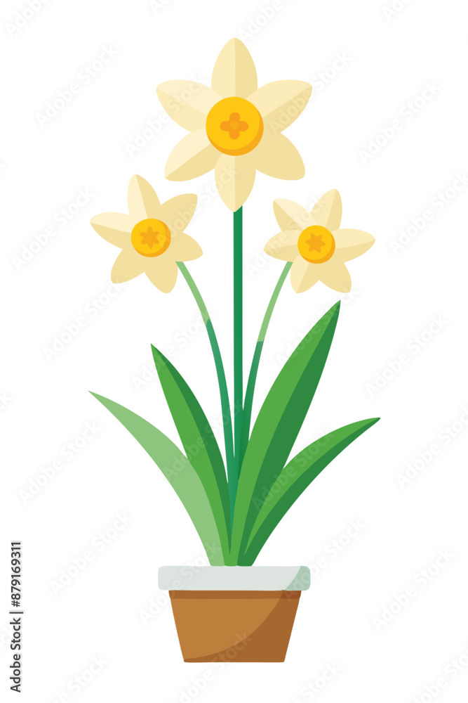 Daffodil plant minimal design vector illustration Daffodil plant minimal design vector illustration