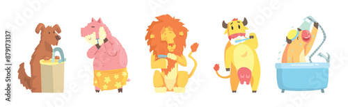 Funny Animal Bathing and Washing in Bathroom Vector Set