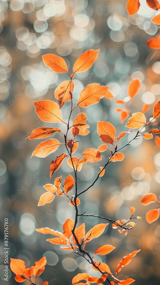 © Denys - Warm sunlight filters through vibrant autumn leaves, casting a golden glow and creating beautiful bokeh. Close-up view of nature's fall beauty in yellow and red hues © Denys - Warm sunlight filters through vibrant autumn leaves, casting a golden glow and creating beautiful bokeh. Close-up view of nature's fall beauty in yellow and red hues