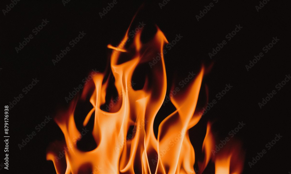 Fire border isolated on transparent background.
Fire border isolated on transparent background.